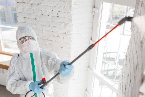 Best Post-Construction Mold Inspection  in Albion, NE