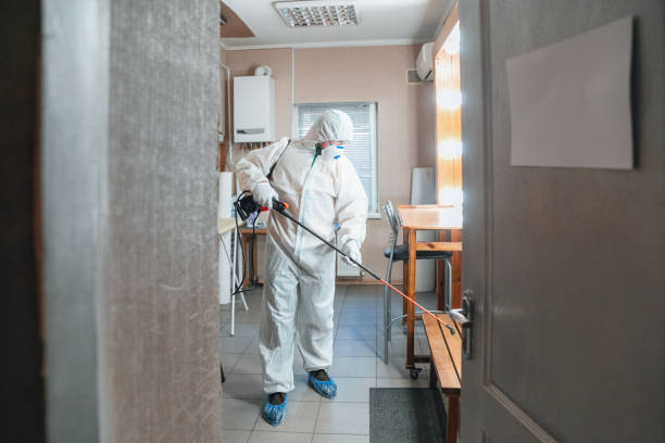 Best Biohazard Mold Removal  in Albion, NE