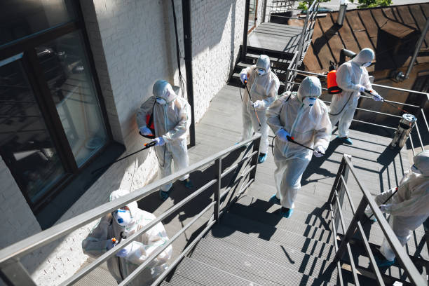 Reliable Albion, NE Mold Removal Solutions