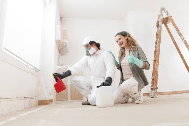 Best Mold Prevention Services  in Albion, NE