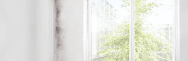 Best Biohazard Mold Removal  in Albion, NE