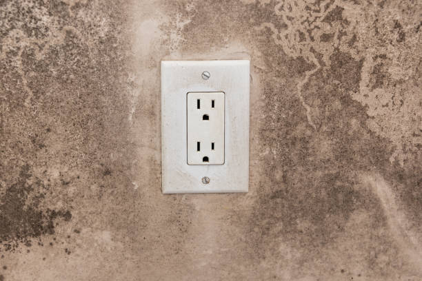 Asbestos and Lead Testing During Mold Inspection in Albion, NE
